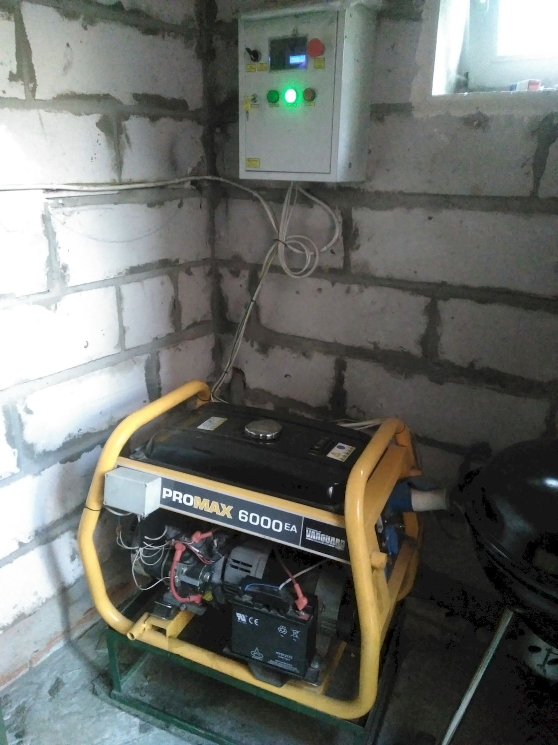 Ремонт генератора Vanguard